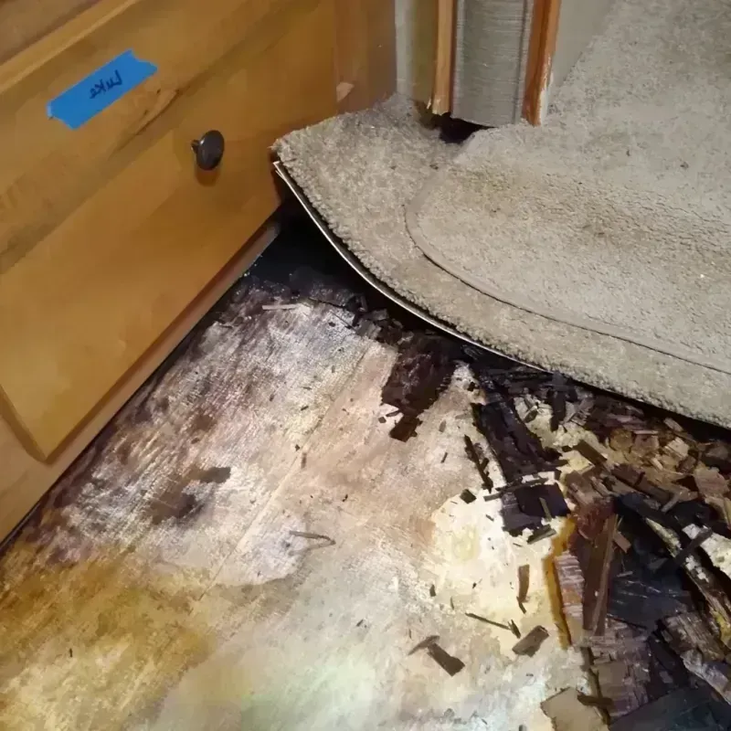 Best Wood Floor Water Damage Service in Freeport, NY